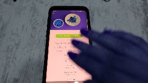 kwp.txt